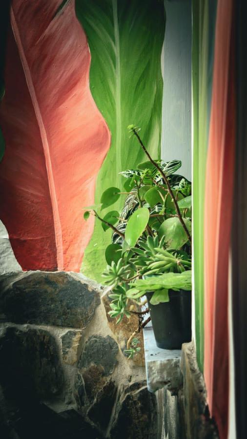 Acogedor Apartaestudio Armenia  Dış mekan fotoğraf