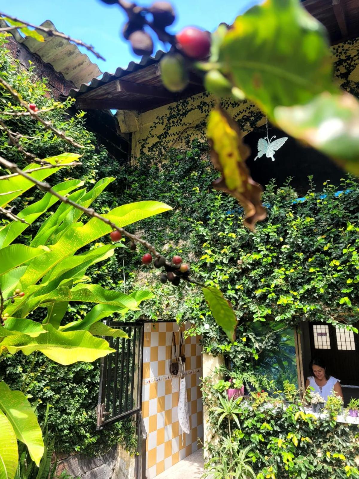 Acogedor Apartaestudio Armenia  Dış mekan fotoğraf